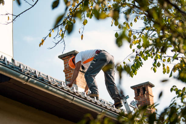 Best Roof Insulation Installation  in Columbus, MS