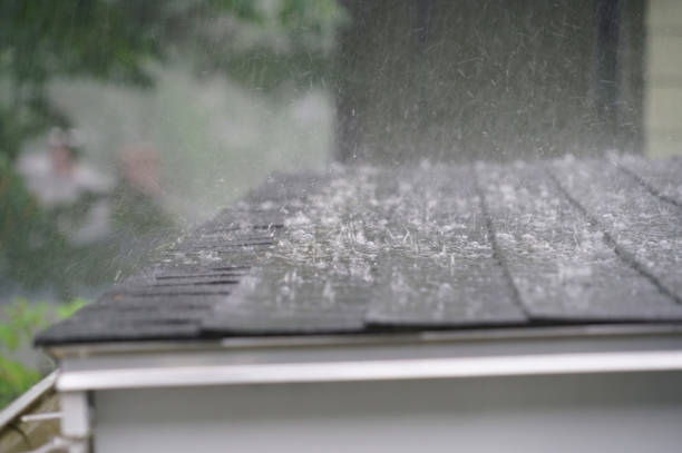 Best Emergency Roof Repair Services  in Columbus, MS